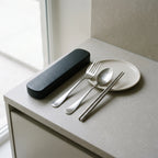 Stainless steel cutlery set with a black case on a light surface.