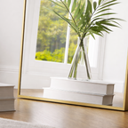 Vase with green plant reflection in a large mirror on a white surface.