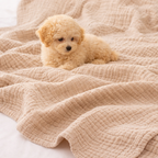Cute puppy on a cotton blanket 