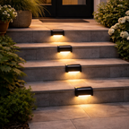 Outdoor steps with embedded lights surrounded by plants at night