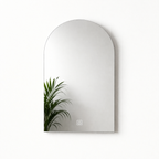 Arched mirror with a plant reflection on a white background